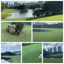 제일항공여행사 이미지