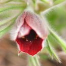 인암농원 이미지