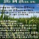 금포로 천지일보