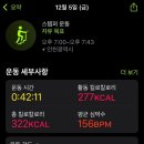 팰롱팰롱 이미지