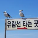 두무진관광영어조합법인
