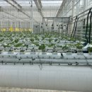 용성마을회관 이미지