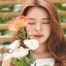 순수 청담본점