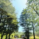 계룡골프랜드 | [국내] 대전 계룡대 체력단련장 봄 라운딩 후기 (코스 난이도와 이용요금)