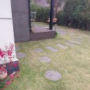 산타와 미니 | 산타와미니 펜션 연천펜션 할머니 팔순잔치 후기