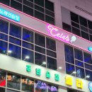 셀럽노래연습장 이미지