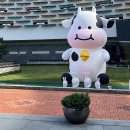 은행로38번길 | 2박 3일 부여, 전주 여행 | 롯데리조트, 부여맛집, 전주맛집