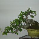 지지명품 이미지