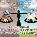 용인대 엘리트 태권도 이미지
