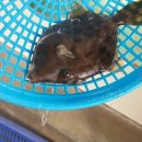 삼수정횟집