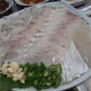 푸른소리오션 이미지