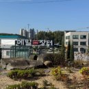 장터매운탕 이미지