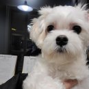 꽃개미용실 이미지