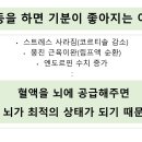 거제용소초등학교병설유치원 이미지