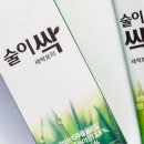 비비드보리