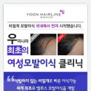윤헤어라인 - 서구 | 윤헤어라인