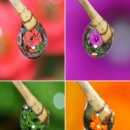 사진마당 이미지