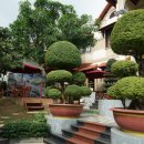 에스포피 이미지