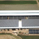 영진 태양광발전소 이미지