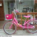 용MTB
