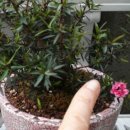 몽실농장 이미지