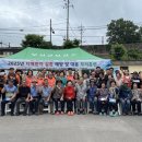 보성군 치매안심센터 이미지