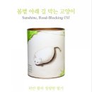 페레쿠논