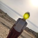 빵빵 터지는 여행영어 이미지