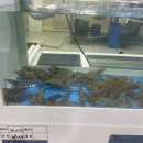 빡빡이제주생해물탕 이미지