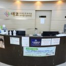 애코이비인후과의원 이미지