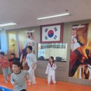 경희대라이언태권도장 이미지