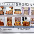삼봉산곶감농원