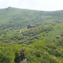 방축사거리 농협 앞 이미지