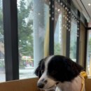 (주)리코 이미지