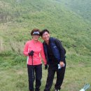 시나브로목장 이미지