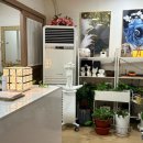 구갈로얄프라자 이미지