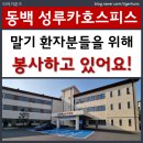 동백성루카병원 | 용인 동백 성루카 호스피스병원 자원봉사 후기 및 참여방법 안내