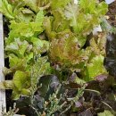 아이뜰유치원 이미지