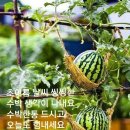 강북로 네이버블로그