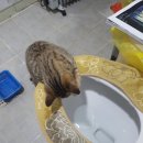 새롬꽃농원