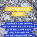 김선자