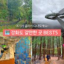 교동면-5 | 강화도 갈만한 곳 여행코스 BEST5 골라가세요