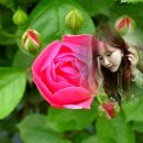행복미소(주) 이미지
