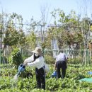 무지개농장1 이미지