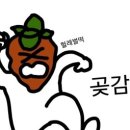 요호야(yohoya) 이미지