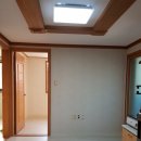 장판월드 이미지