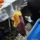 그린오토 | 포항 호미곶 그린오토캠핑장 B-2 방갈로 201호 후기