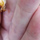 근화농장 이미지