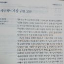 마태복음 27:45~56 / 죄 사함의 구세주, 그분은 하나님 아들 이미지