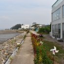 경기둘레길 화성48코스 이미지